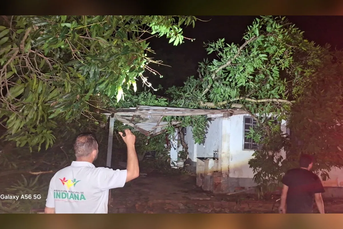 Vento forte destelha casas, derruba árvores e deixa moradores desalojados no Oeste Paulista