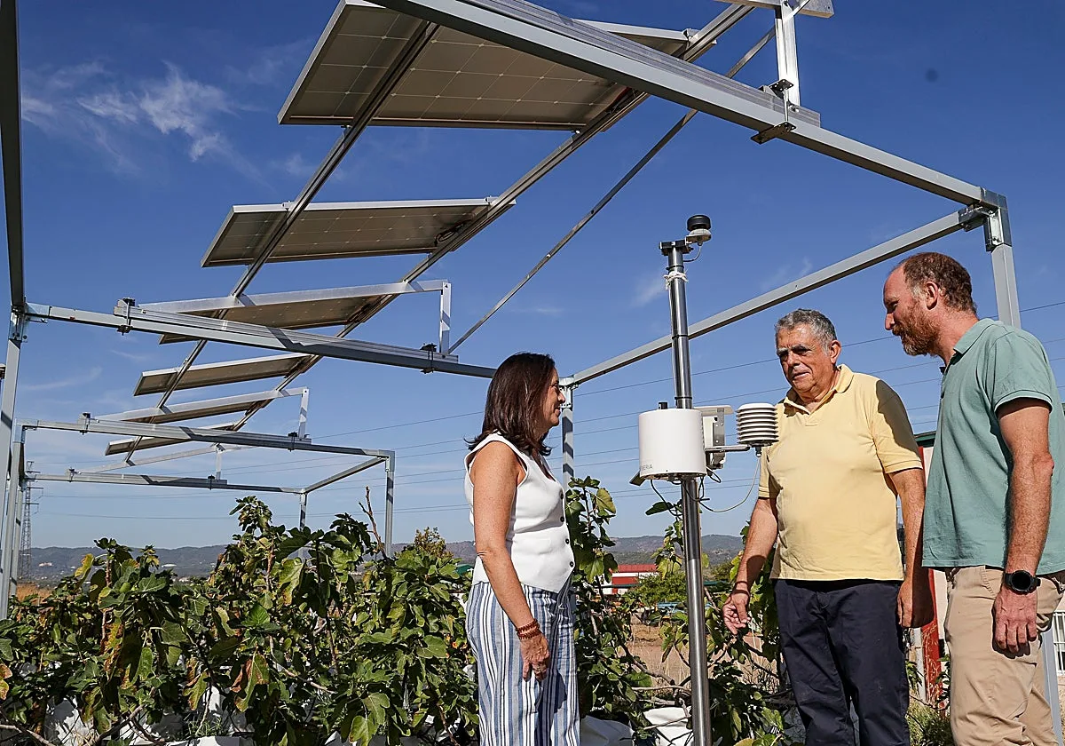 El sol irrumpe como alternativa a la gasolina en Córdoba: «La fotovoltaica es la fuente de generación eléctrica más económica»