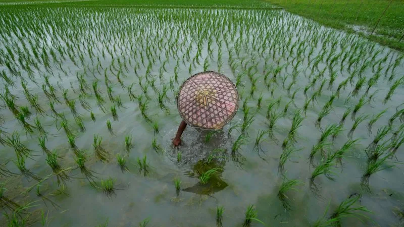 World in pictures, September 2, 2026