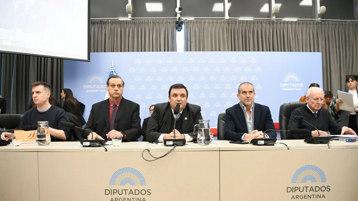 Discapacidad: el oficialismo recalculó, tomó la agenda opositora y se alzó con el dictamen de mayoría
