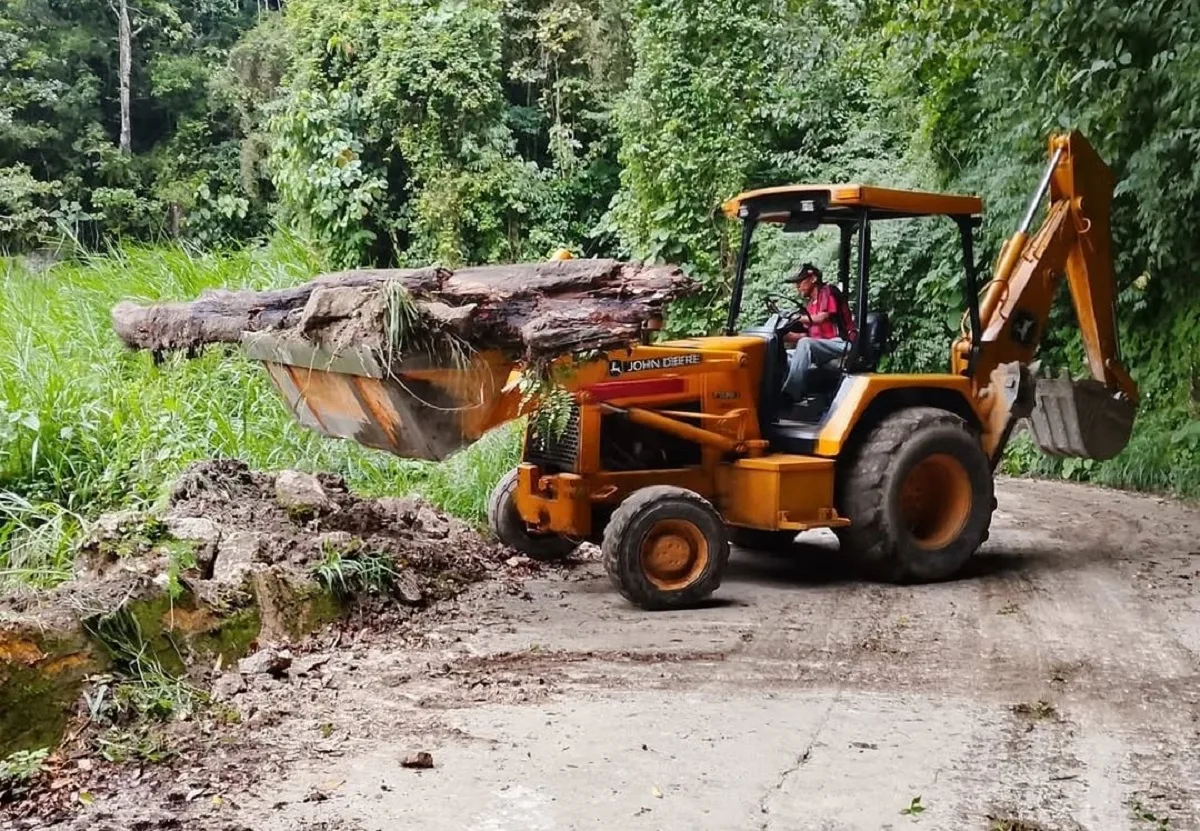 Autoridades alternan paso vehicular con trabajos de recuperación en la carretera Maracay-Choroní