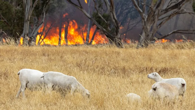 ‘The homes we build twice’: Repair bill for climate disasters climbing faster than inflation