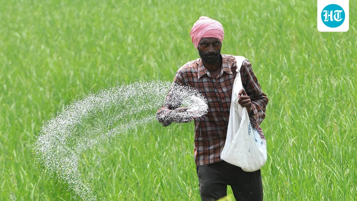 India’s fertiliser supplies for Rabi season remain on track despite Strait of Hormuz disruptions