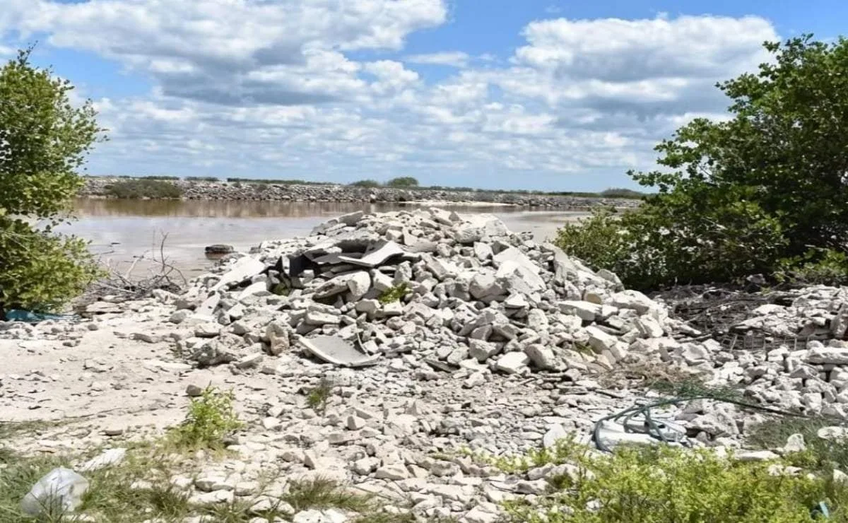 Vecinos de Chicxulub Puerto denuncian destrucción de manglar en Yucatán; presuntos invasores han talado y quemado vegetación costera, aseguran