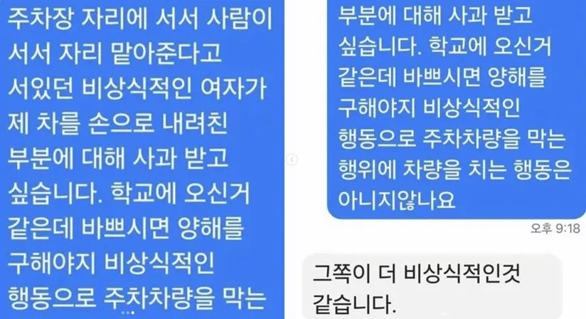 “내 자리야”…주차칸 막고 진입차량 내리친 여성