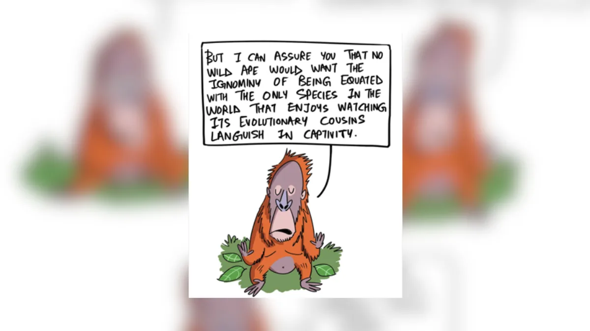 Orangutan and wildlife trafficking | Green Humour by Rohan Chakravarty