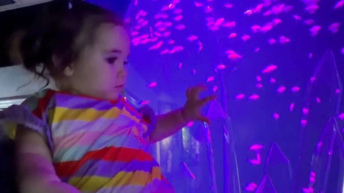 A family day out at Beijing's Blue Zoo