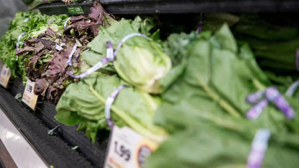 US declares end to lettuce parasite outbreak that killed 2