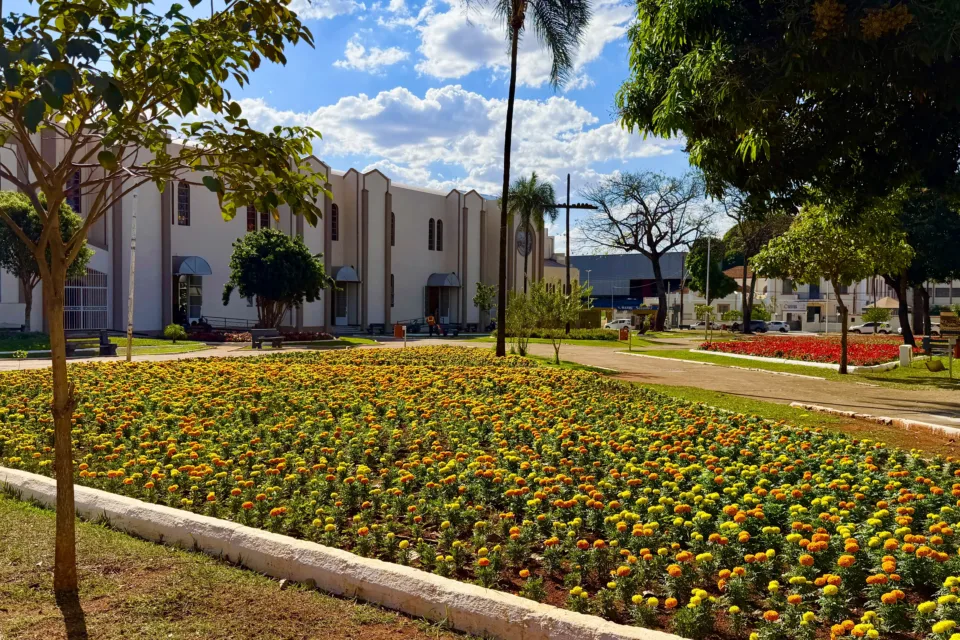 Como Goiânia consegue manter 35 pontos floridos em meio à seca e ao calor de 30°C