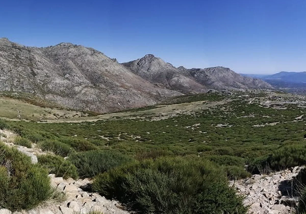 Bajo cero en agosto: el Puerto del Pico (Ávila) registra -0,1 grados, la mínima más baja del país