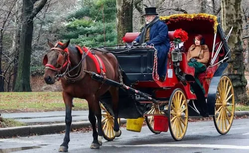 Nueva York se encamina a prohibir los carruajes de caballos en Central Park; medida entraría en vigor en 2028