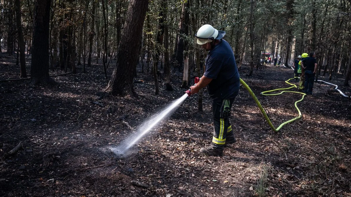 Waldbrandbekämpfung: Fast alle Glutnester im Hürtgenwald gelöscht