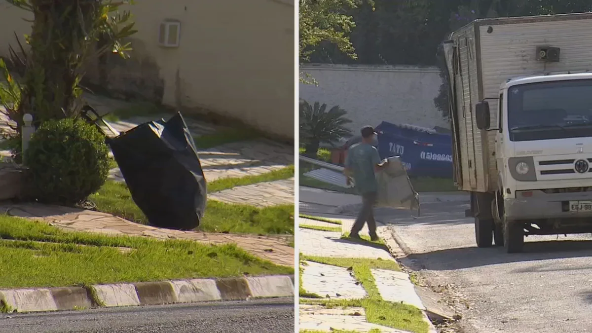 Tem Solução: banners viram sacolas verdes e reflorestamento ajuda na produtividade de fazenda no interior de SP