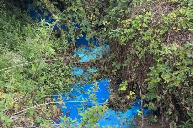 Urgent 'do not swim' warning after mystery pollutant turns river bright blue at UK beauty spot