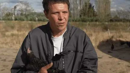 "Pour répondre à la demande, il faudrait qu'on double la production" : explosion de la consommation de poulet, les éleveurs français démunis face à la demande