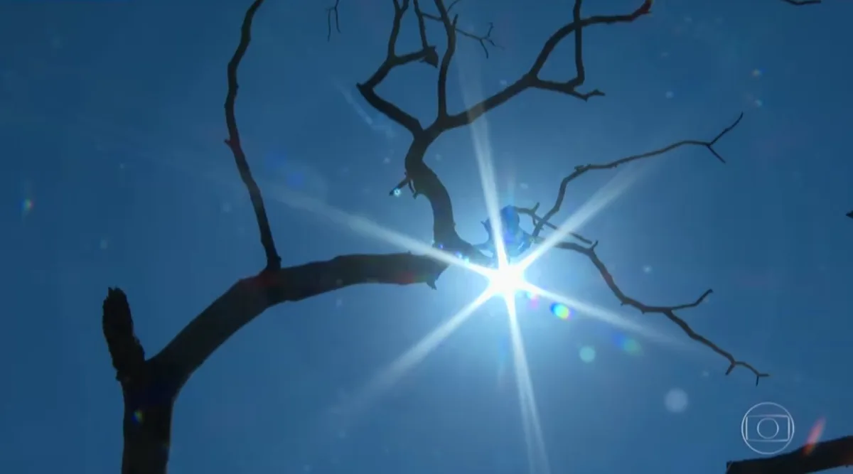 Calor, fumaça e estiagem: o que fazer para proteger crianças em Manaus