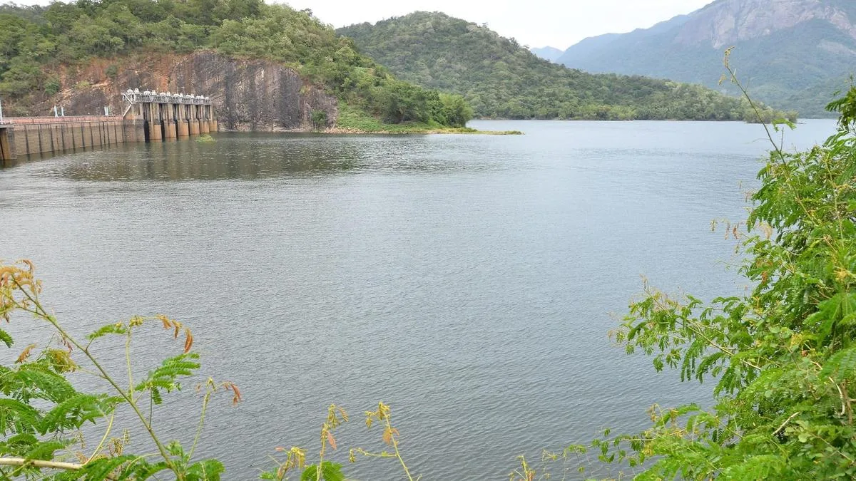 Water level in Papanasam dam stands at 73.25 feet