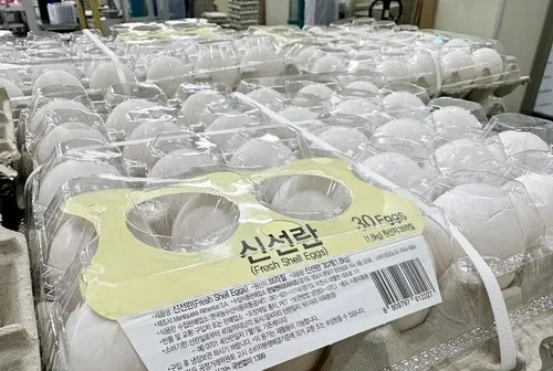 농식품부 "브라질산 계란 수입, 전체의 0.8%…시범적 조치"