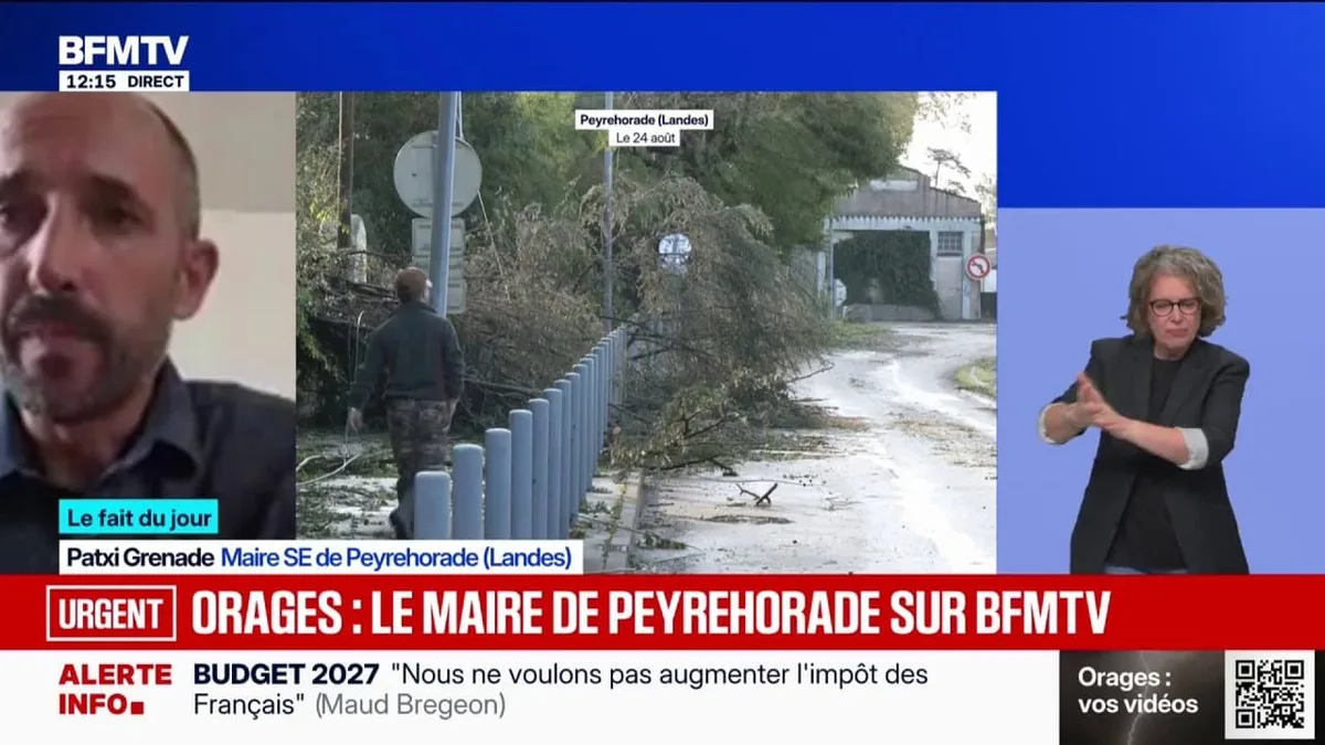Orages dans les Landes: "Les dégâts sont très importants, énormément d'arbres sont tombés", déclare Patxi Grenade, maire de Peyrehorade
