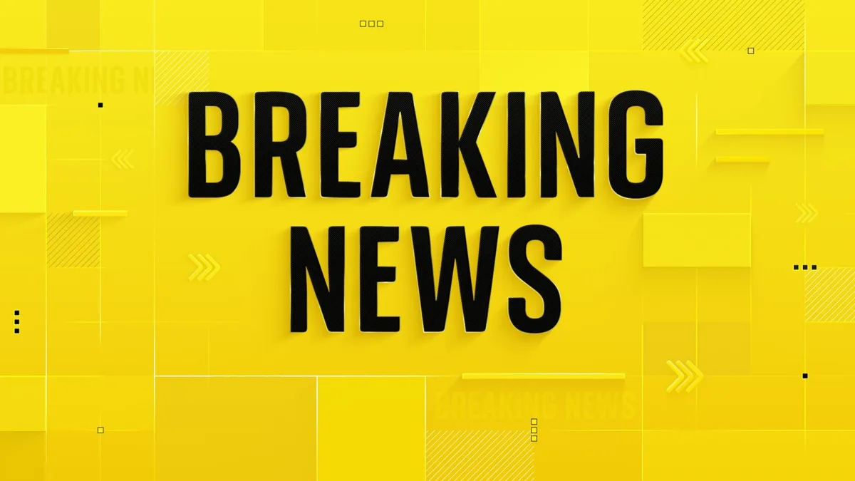 At least 11 dead in mass shooting at house party in South Africa