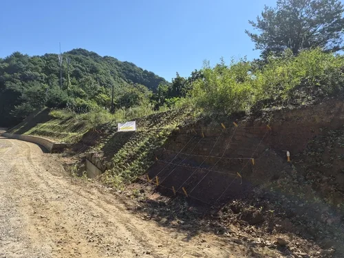 국립수목원, DMZ 생태계 복원에 맞는 자생식물 검증연구