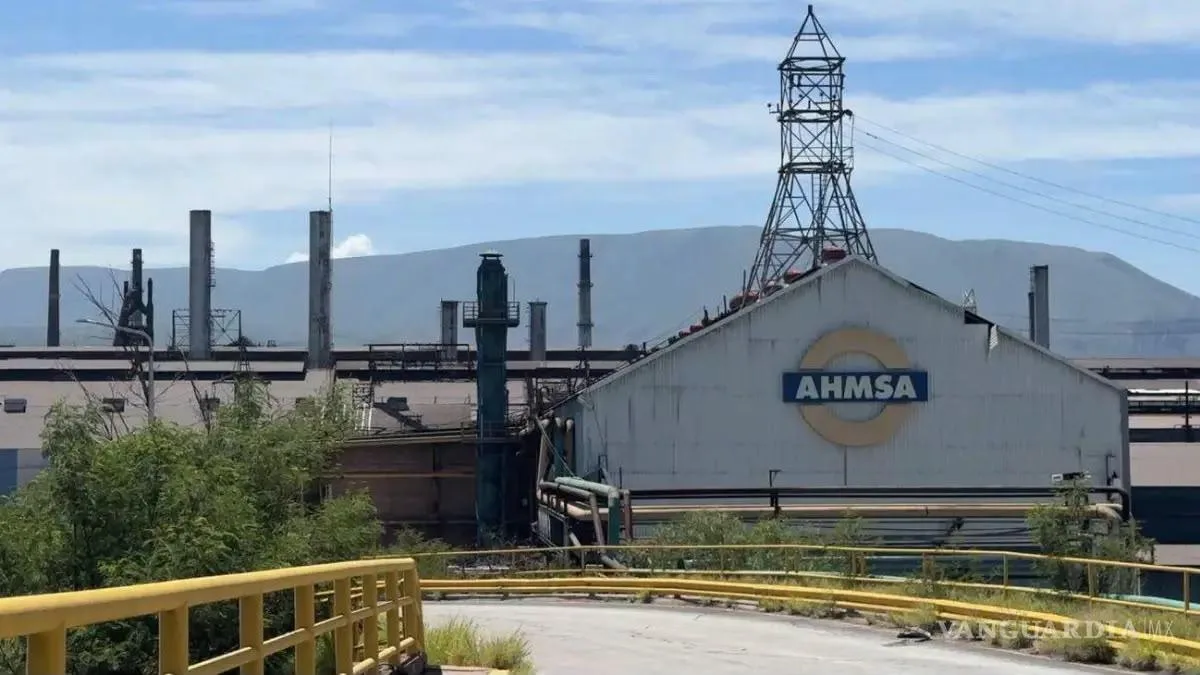 Son seis postores los que buscan adquirir AHMSA y MINOSA