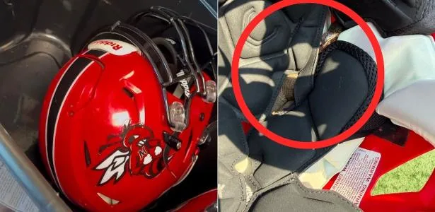 Jogador treina por quase 1h com cobra peçonhenta dentro de capacete nos EUA