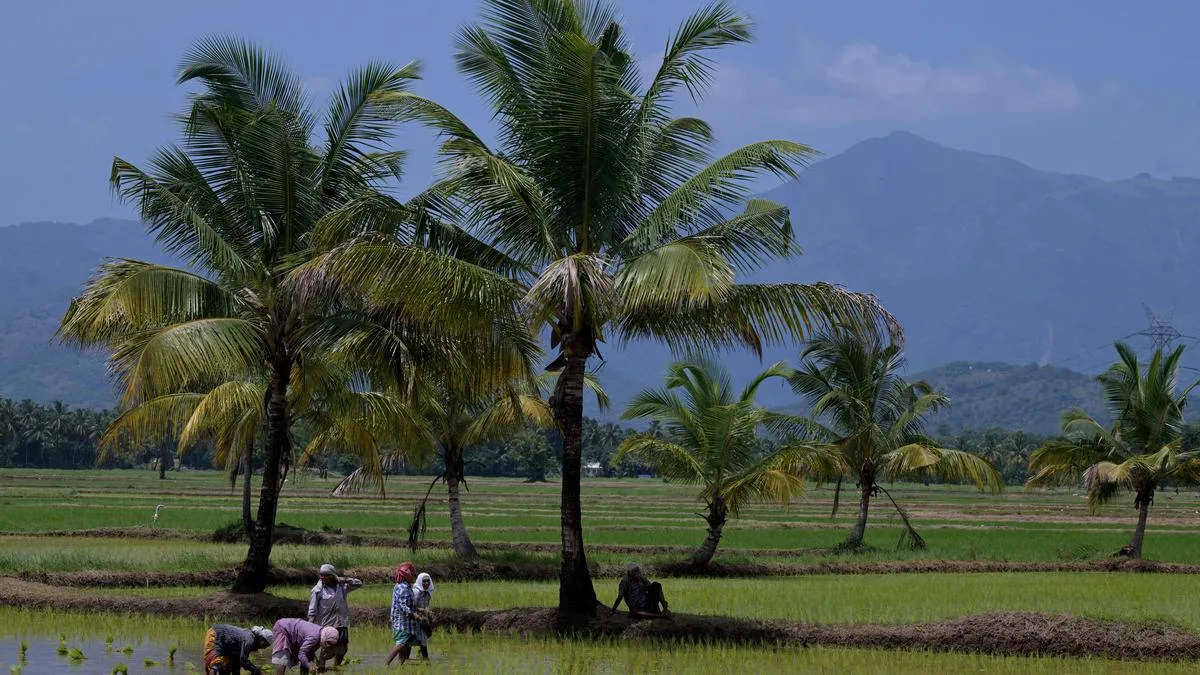 Farmers seek compensation as water shortage threatens second paddy crop
