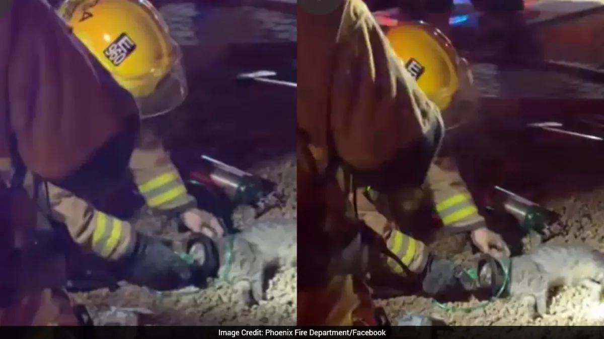 Firefighters Rescue Cat From Burning Arizona Home, Give Oxygen Using Special Mask