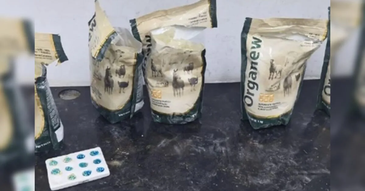 Traficantes que enviavam cocaína em potes de whey protein pelos Correios são alvo da polícia