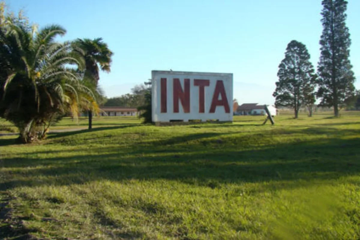 Motosierra en el INTA: el Gobierno proyecta un recorte del 12,4% en el presupuesto para 2027 y retira una fuente de financiamiento
