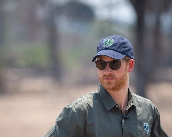 Prince Harry quits board of wildlife charity after rangers’ human rights abuses