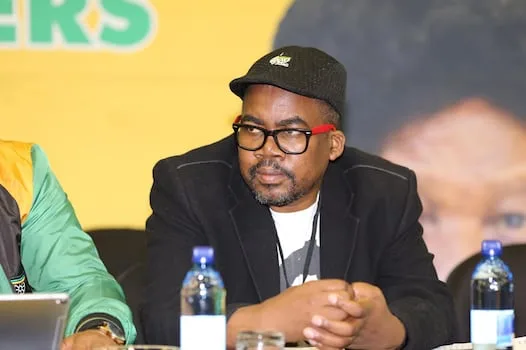 Ngcukayitobi takes on Mbalula over ANC election blunder