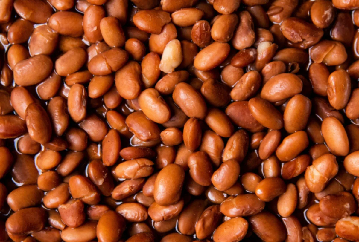 Pesquisadores transformam grãos quebrados de feijão em proteína