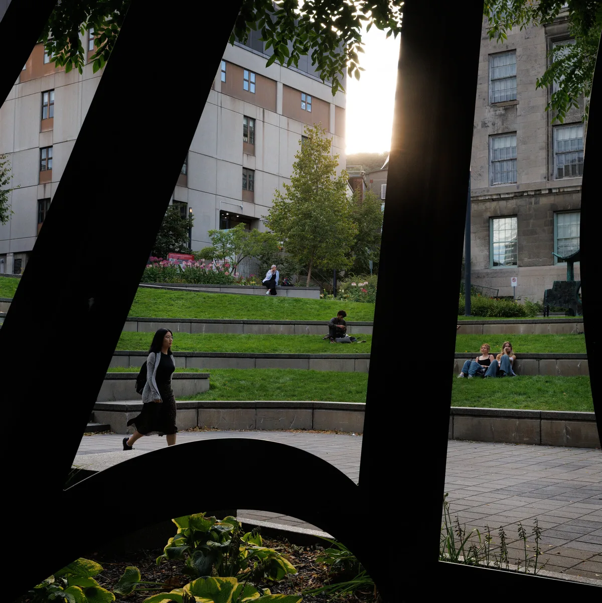 Canada Hires U.S. Scholars From Harvard and Other Top Universities