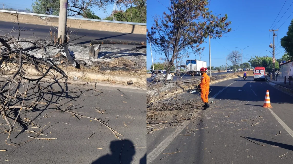 Mulher fica ferida após ser atingida por árvore carbonizada enquanto pilotava moto em Teresina
