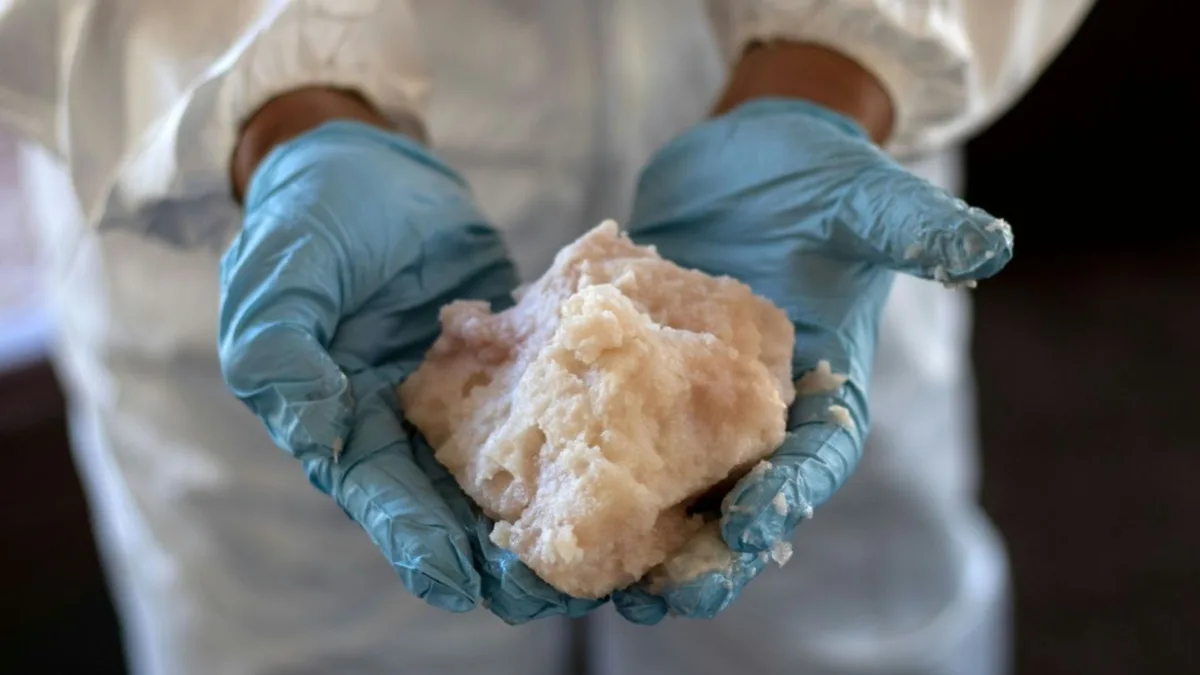 Ermittler entdecken anderthalb Tonnen Crystal Meth im Hamburger Hafen