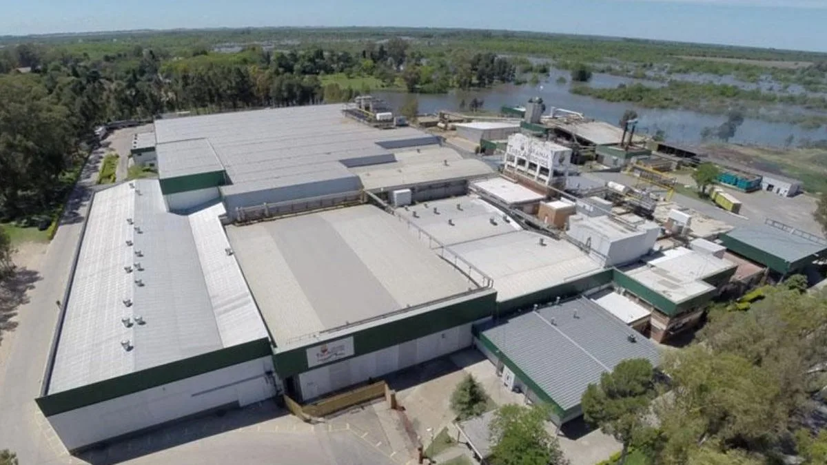 Gigante que já liderou produção de frango na Argentina confirma 1.250 demissões em três fábricas