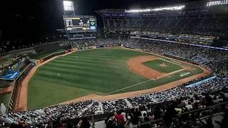 LVBP: Esta es una de las tareas pendientes que debe mejorar Leones para la próxima zafra