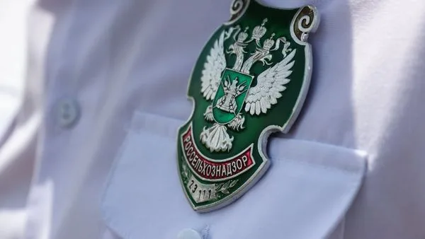 В России назвали условие для возобновления импорта продукции из Армении