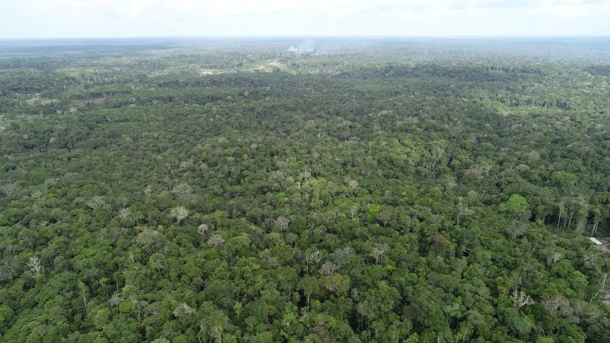 Amazonas registra aumento de 20% nos focos de calor em agosto; Apuí concentra 34% dos registros