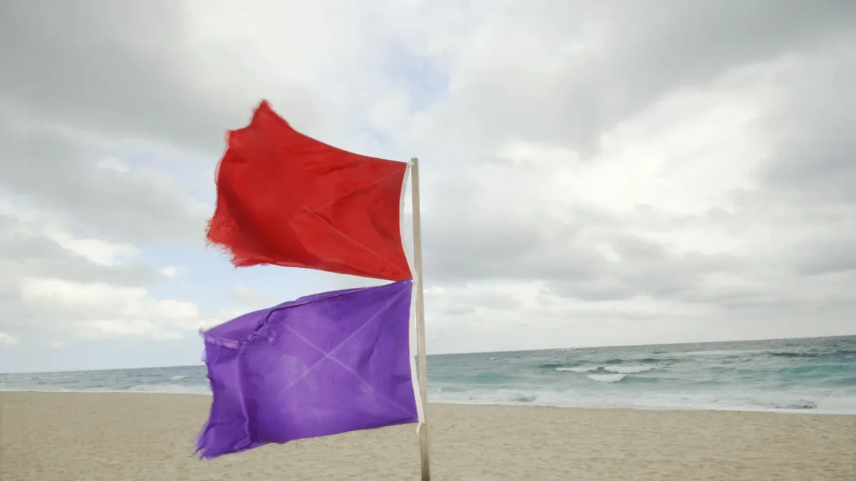 ¿Hay una bandera morada en la playa? Esto es lo que significa