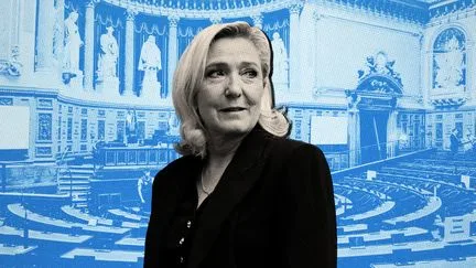 "L'objectif, c'est d'avoir un groupe" : le Rassemblement national rêve de franchir une nouvelle étape aux sénatoriales
