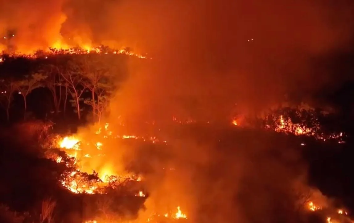 Chamas devastam área de mata na Grande Manaus e provocam apagão