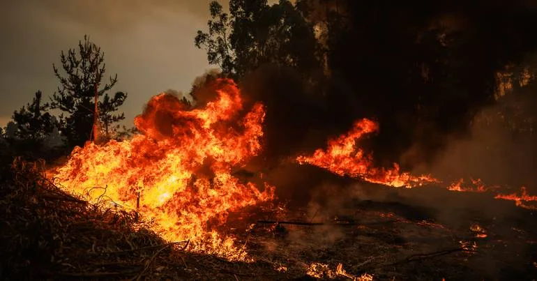 Detido suspeito de atear pelo menos 5 fogos no Peso da Régua