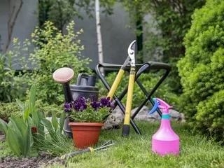 Manque d’eau, feuilles jaunes… Faut-il tailler les haies de son jardin après les fortes chaleurs ?