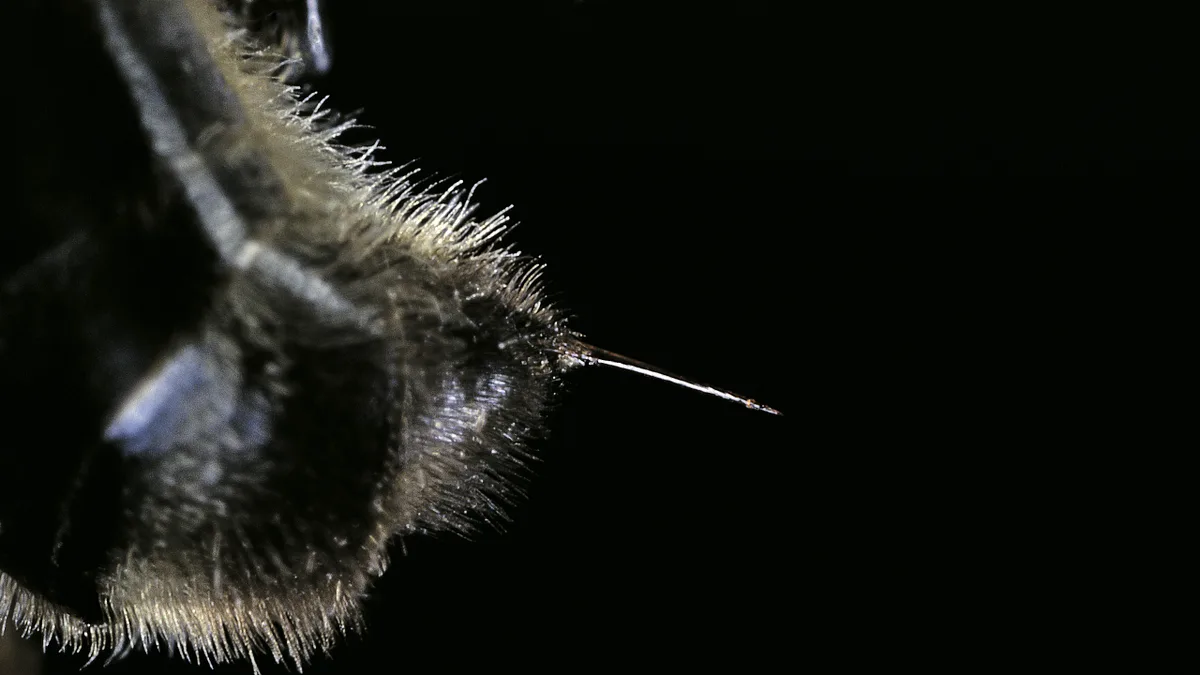 Autonomes Waffensystem: Warum ein Bienenstachel ohne Biene sticht