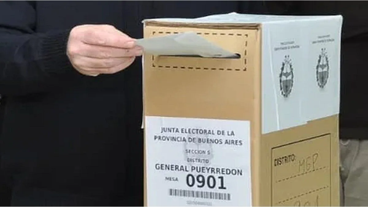 El presidente del PRO en el Senado cuestionó la eliminación de las primarias: "Queremos mantener las PASO"