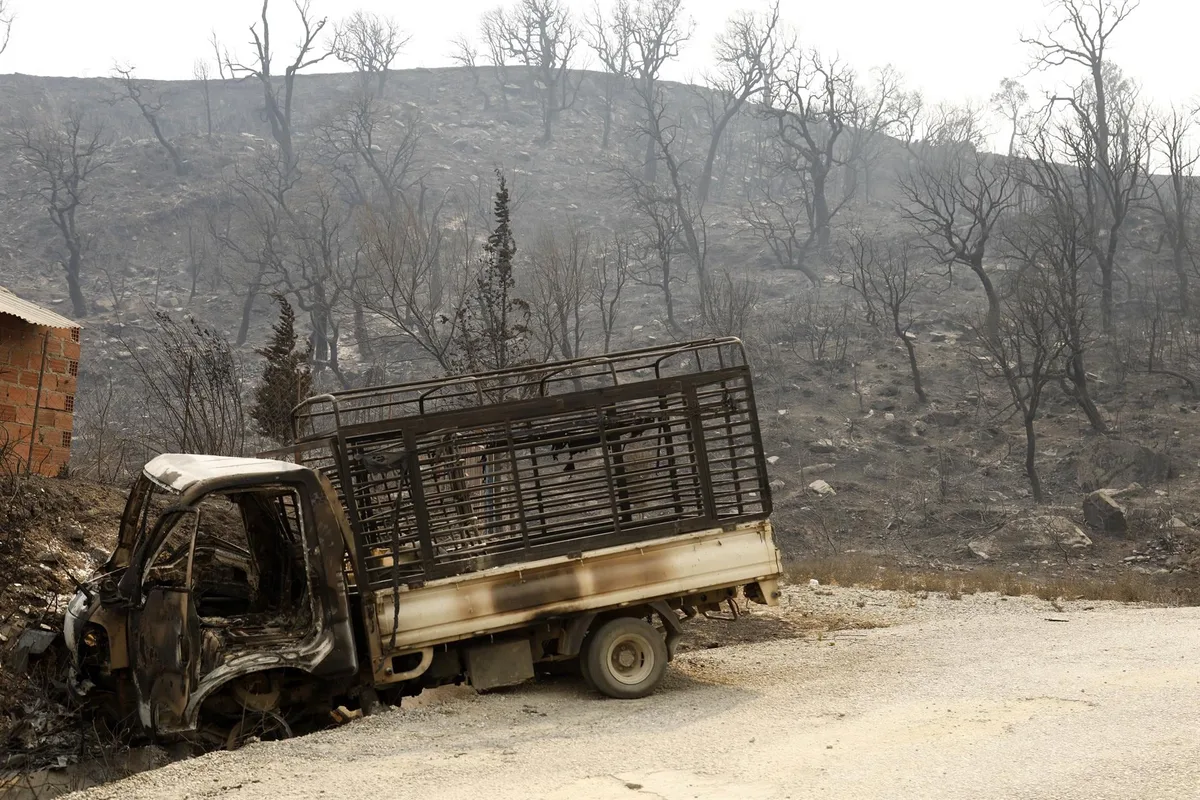 El presidente decreta tres días de luto nacional por la muerte de doce personas en incendios forestales