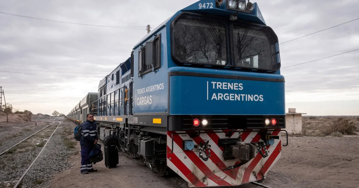 Privatización del Belgrano Cargas: dos organismos internacionales ofrecieron financiar a la empresa que gane la licitación